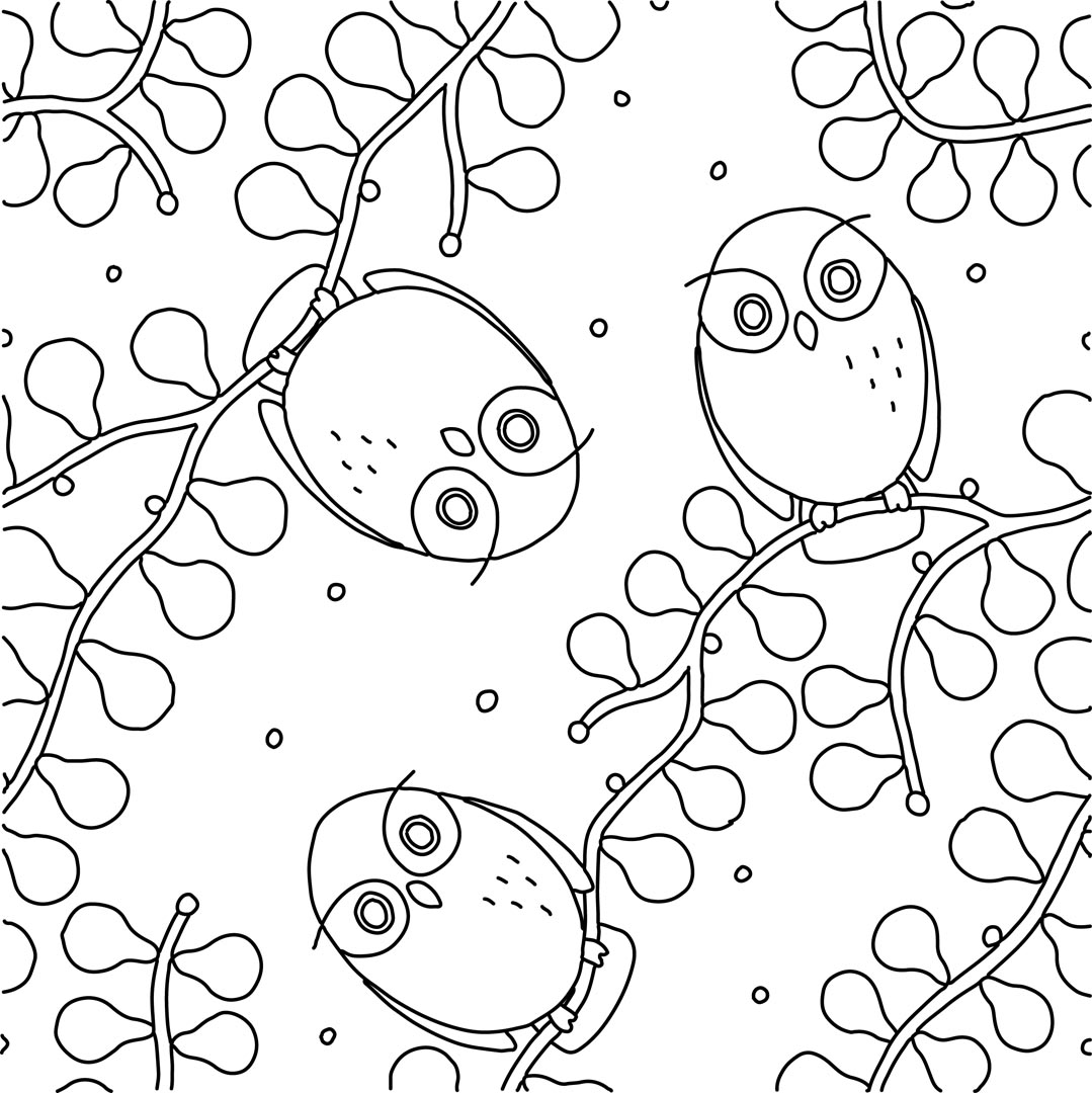 A black-and-white drawing of three owl perched on winding branches that go across the image. The branches have pears hanging from them.